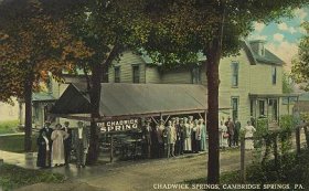 Chadwick Springs